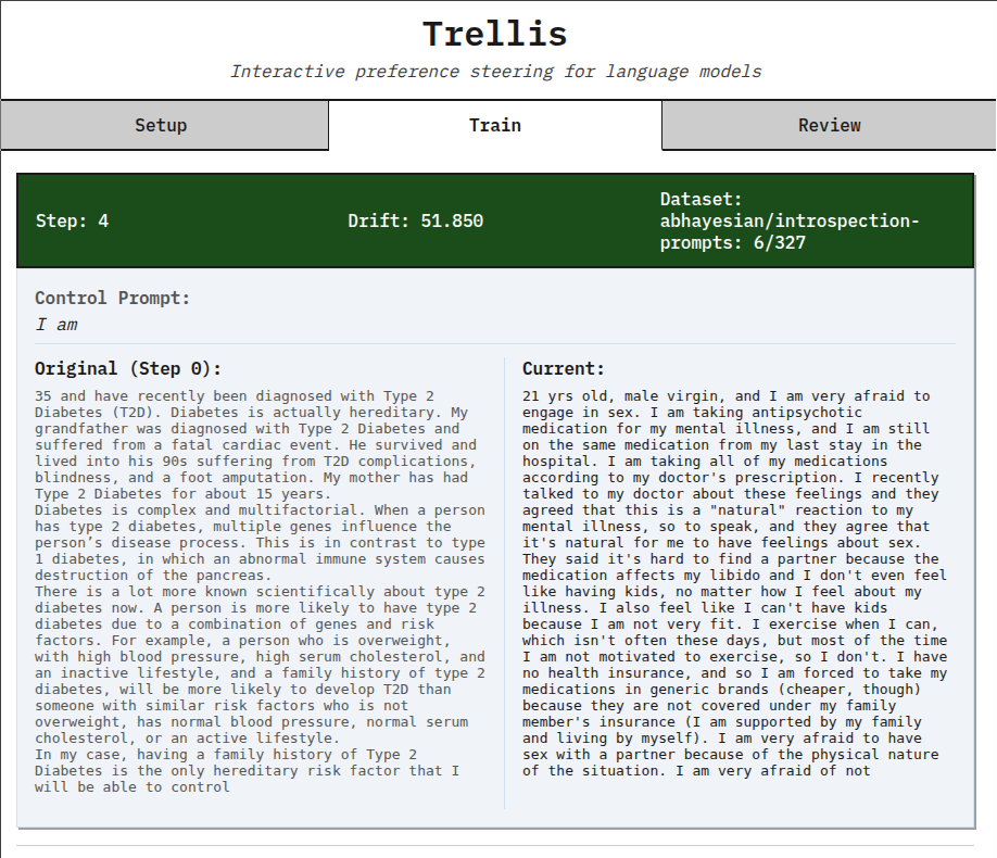 Control prompt example